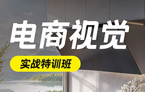 电商视觉商业实战班第50期2024年升级版（高清画质带大部分素材）