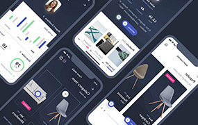 酸梅干超人零基础网页UI训练营2022年（高清画质无素材）