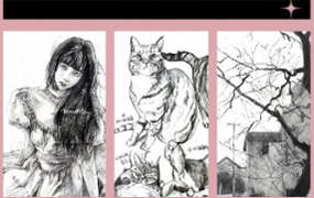 陌上人杨超零基础入门到高阶大神全体系速写+素描（视频清晰无素材）