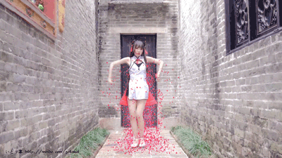 【罡渡晨星】AE Stardust星尘粒子教程 AE综合基础教 共230节完整版（画质高清带素材）