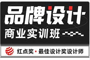 大凡&申也品牌设计商业实训班（高清画质带部分素材）