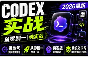 迪哥Codex智能体实战从零系统学习智能体应用2026年（画质清晰带文档）