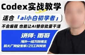 雨哥Codex实战教学2026年（画质清晰无素材）